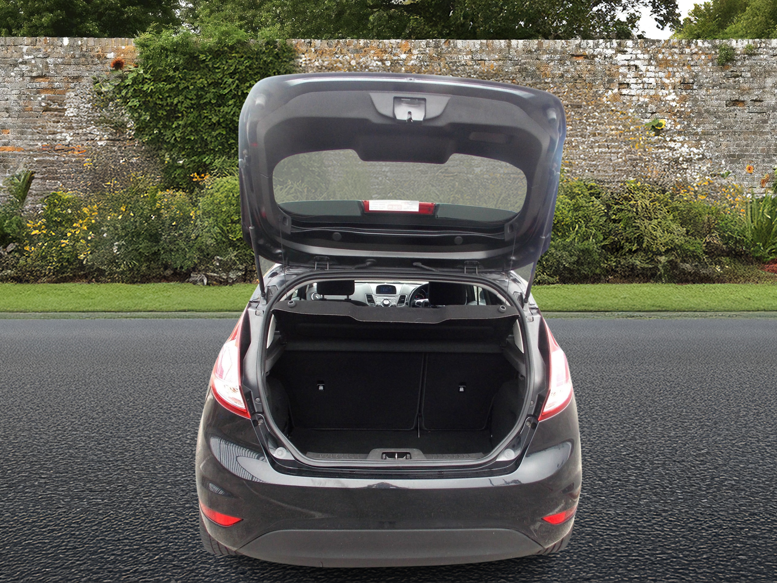 fiesta black 6